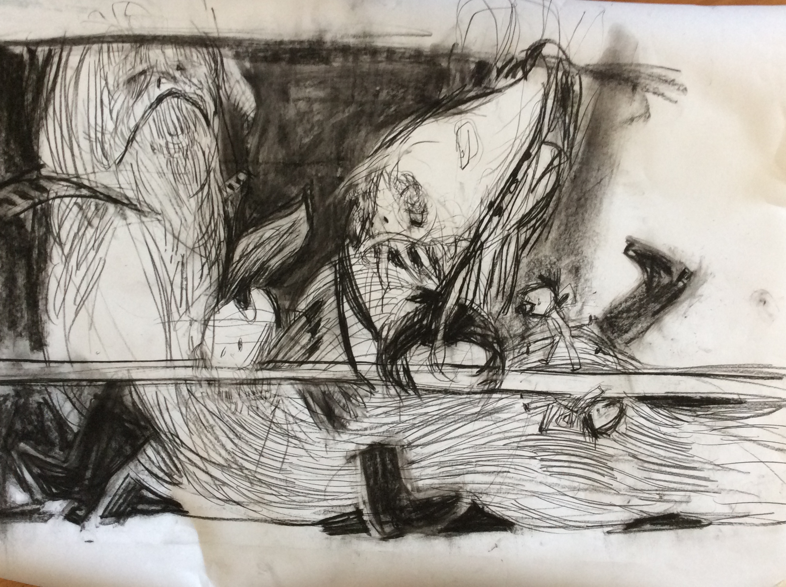 Work In Progress Phantomwise Flew the Black Cockatoo